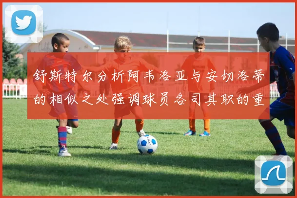舒斯特尔分析阿韦洛亚与安切洛蒂的相似之处强调球员各司其职的重要性