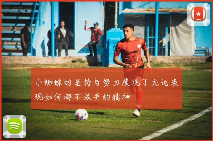 小蜘蛛的坚持与努力展现了无论表现如何都不放弃的精神