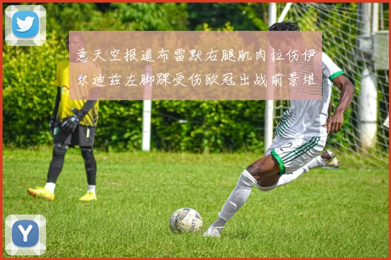 意天空报道布雷默右腿肌肉拉伤伊尔迪兹左脚踝受伤欧冠出战前景堪忧